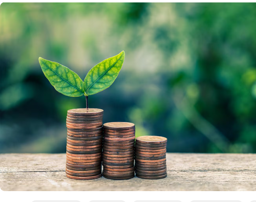 Wealth Building Strategies That Help Create Long Term Financial Security and Growth